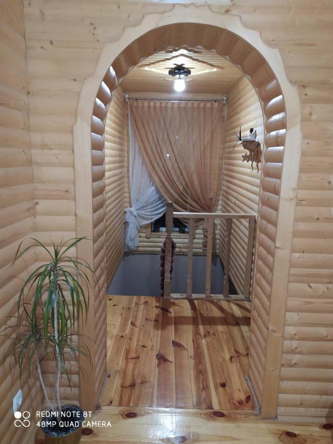 Карпатські Зорі Villa Pilipets Dış mekan fotoğraf